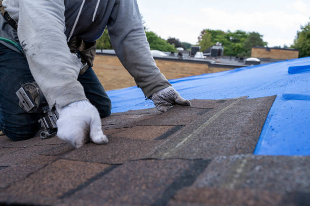 Best Emergency Roof Repair Services  in Jesup, GA